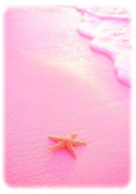 La vie en rOse 