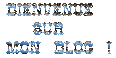 Bienvenue sur mon blog